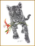 TJ072 - Tiger Lilly